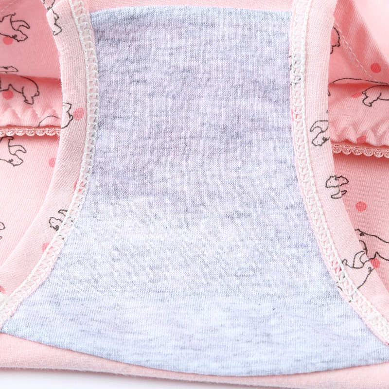 Slip jeunesse C3010 en coton - Ref 640656 Image 5