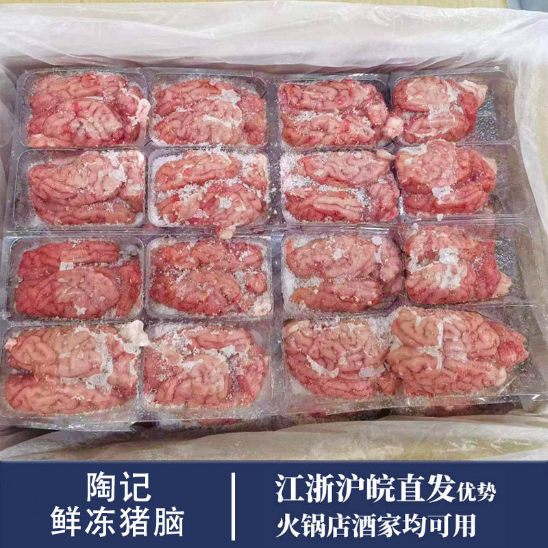 铭时国产鲜冻猪脑冷冻猪脑花猪脑子96副 四川重庆火锅食材商用