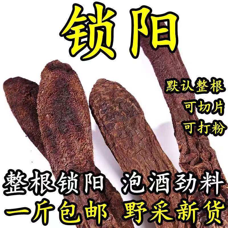 中药材金锁阳整根250g正品油肉苁蓉男肾泡茶水泡酒料无硫磺锁阳片