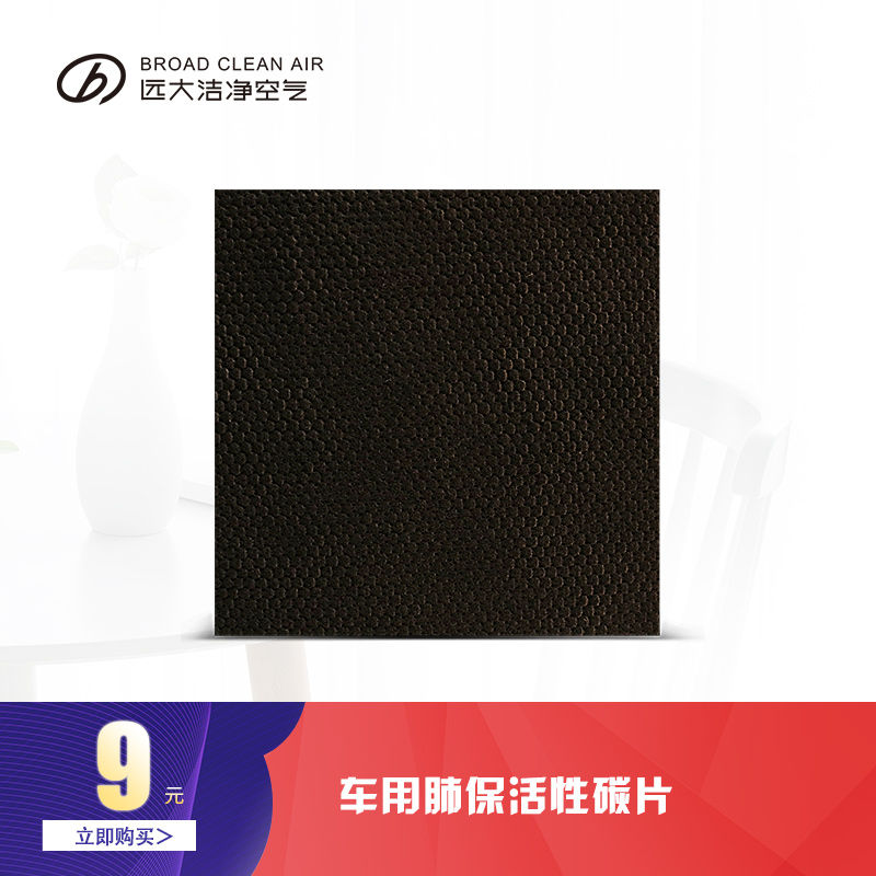[远大空品专卖店其他生活家电配件]远大车用肺保车载空气净化器活性碳片 月销量1件仅售9元