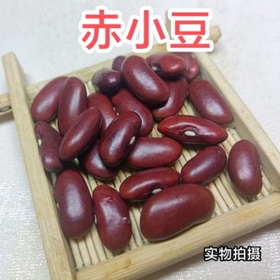 广东正宗赤小豆农家自产纯天然长粒有机红豆赤豆杂粮2022新货500g