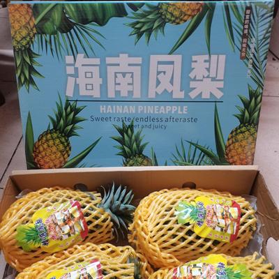 海南金钻凤梨新鲜9斤正宗菠萝整箱孕妇水果手撕风梨当季特产大果