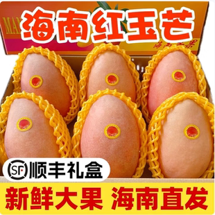 海南芒果三亚红玉芒 果玉文芒果红芒果澳芒当季新鲜水果甜 顺丰