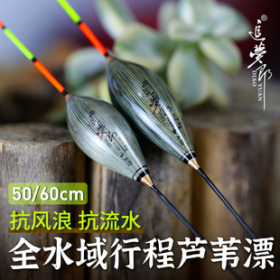 鸽子蛋带壳芦苇浮漂 鲫鱼鲤鱼高灵敏醒目防风抗走水枣核行程鱼漂