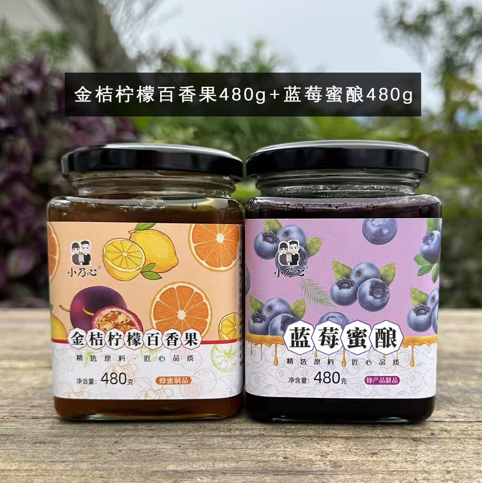组合 小乃心蜂蜜【金桔柠檬百香果480g+蓝莓蜜酿480g】天然蜂蜜