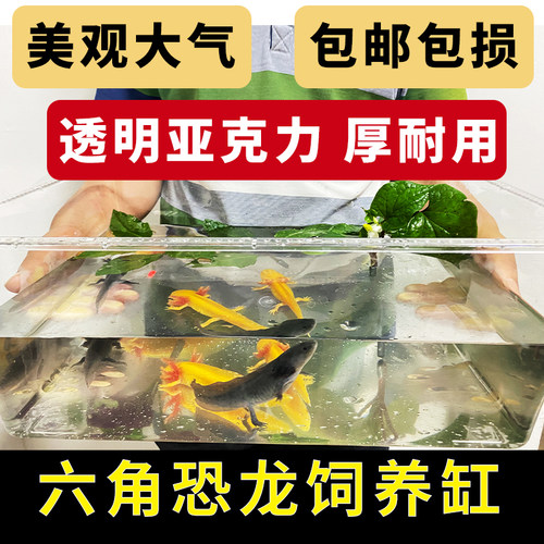 六角鱼缸饲养盒金鱼亚克力