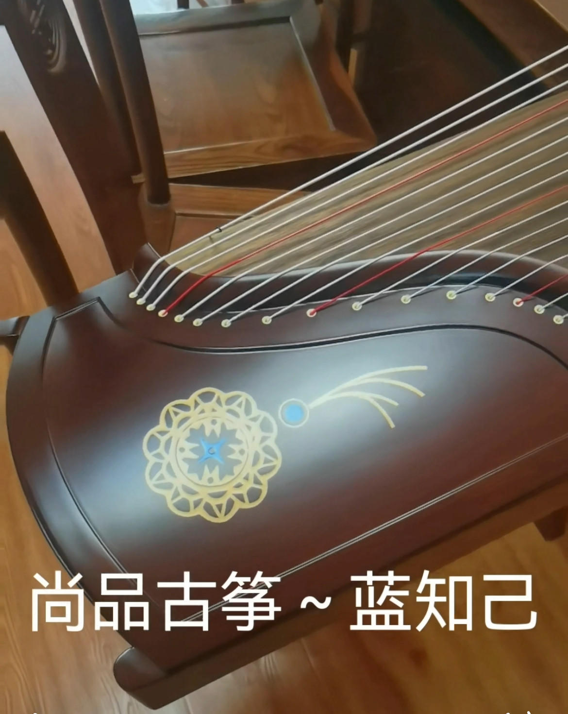 蓝知己 红檀木纯实木163cm专业演奏筝
