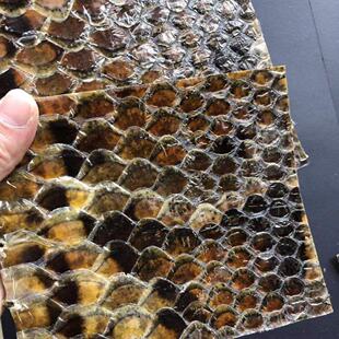 二胡蟒蛇皮琴皮二胡皮蟒皮 高胡三弦蒙皮(边皮肚皮偏厚)