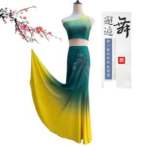 成人傣族舞蹈演出服装女孔雀舞表演服修身鱼尾裙练功服练习裙艺考