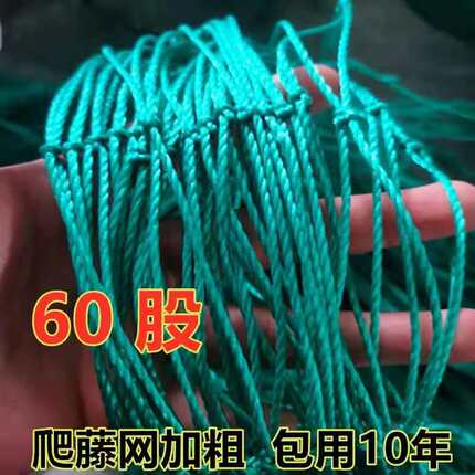 植物爬藤网菜园种植网豆角丝瓜黄瓜苦瓜吊瓜网百香果网花卉攀爬网