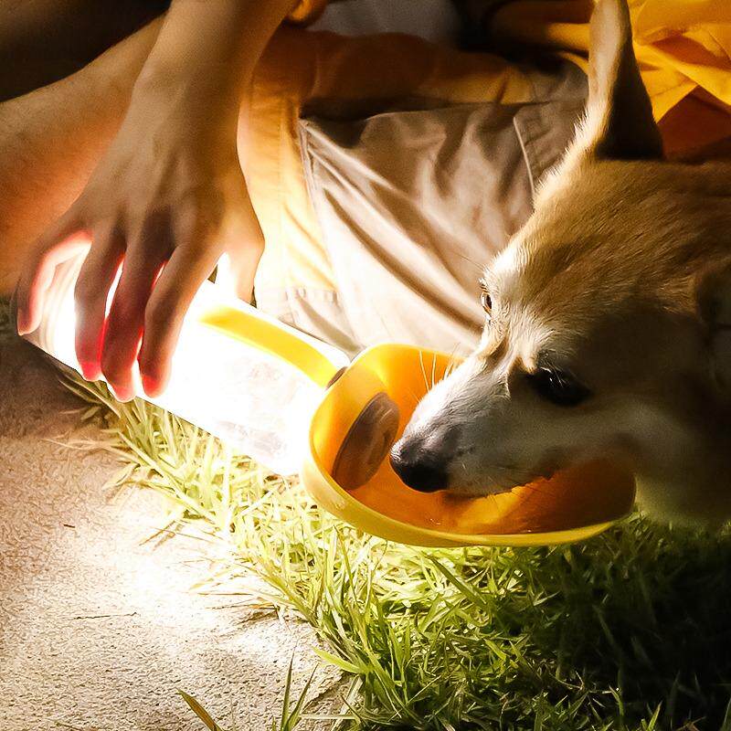 宠物外出折叠随行杯夜灯发光水瓶