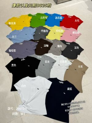 元熙6121春夏新款简约百搭小马刺绣修身显瘦圆领短袖T恤女上衣潮