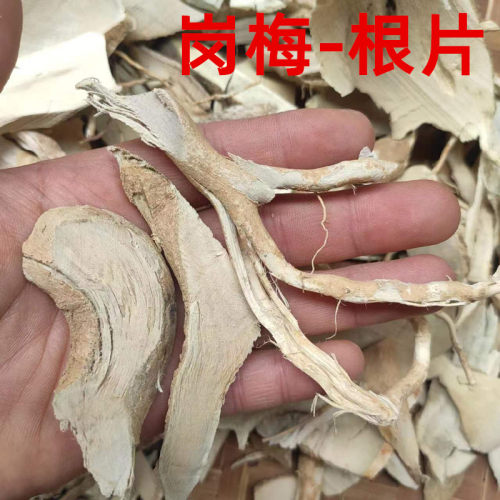 岗梅根 干货 山梅根 点秤根 天星根 上甘草 潮汕中草药山梅头