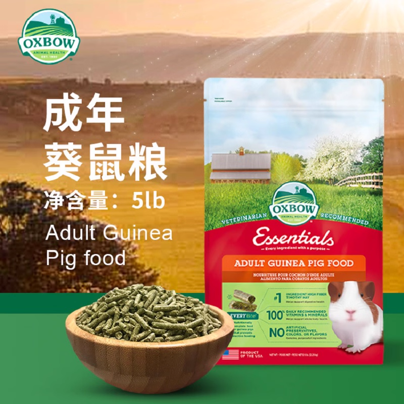 现货美国爱宝Oxbow成年天竺鼠