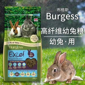 Корм для кроликов Burgess British Bugs с мятой и орегано Корм ​​для кроликов для домашних животных Корм ​​для кроликов Тимоти для маленьких кроликов Корм ​​для взрослых кроликов