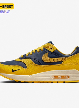 Nike/耐克正品新款男女气垫缓震运动跑步鞋FJ5479-410
