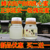 槐花纯蜂蜜天然农家自产深山原生态成熟洋槐蜜蜂场无添加500g瓶装
