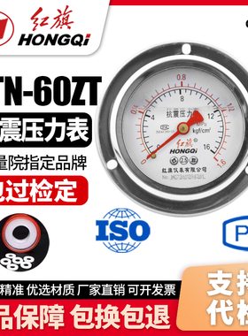 厂家直销 红旗牌仪表 耐震防震抗震压力表 YTN-60ZT 充油压力表