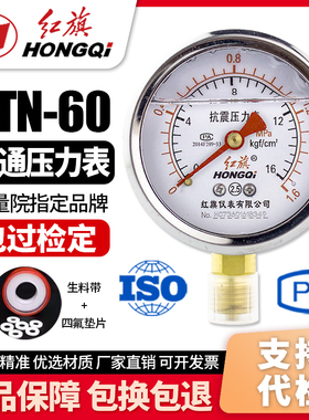 厂家直销 红旗牌仪表 耐震抗震压力表 YTN-60 0-1MPa充油压力表