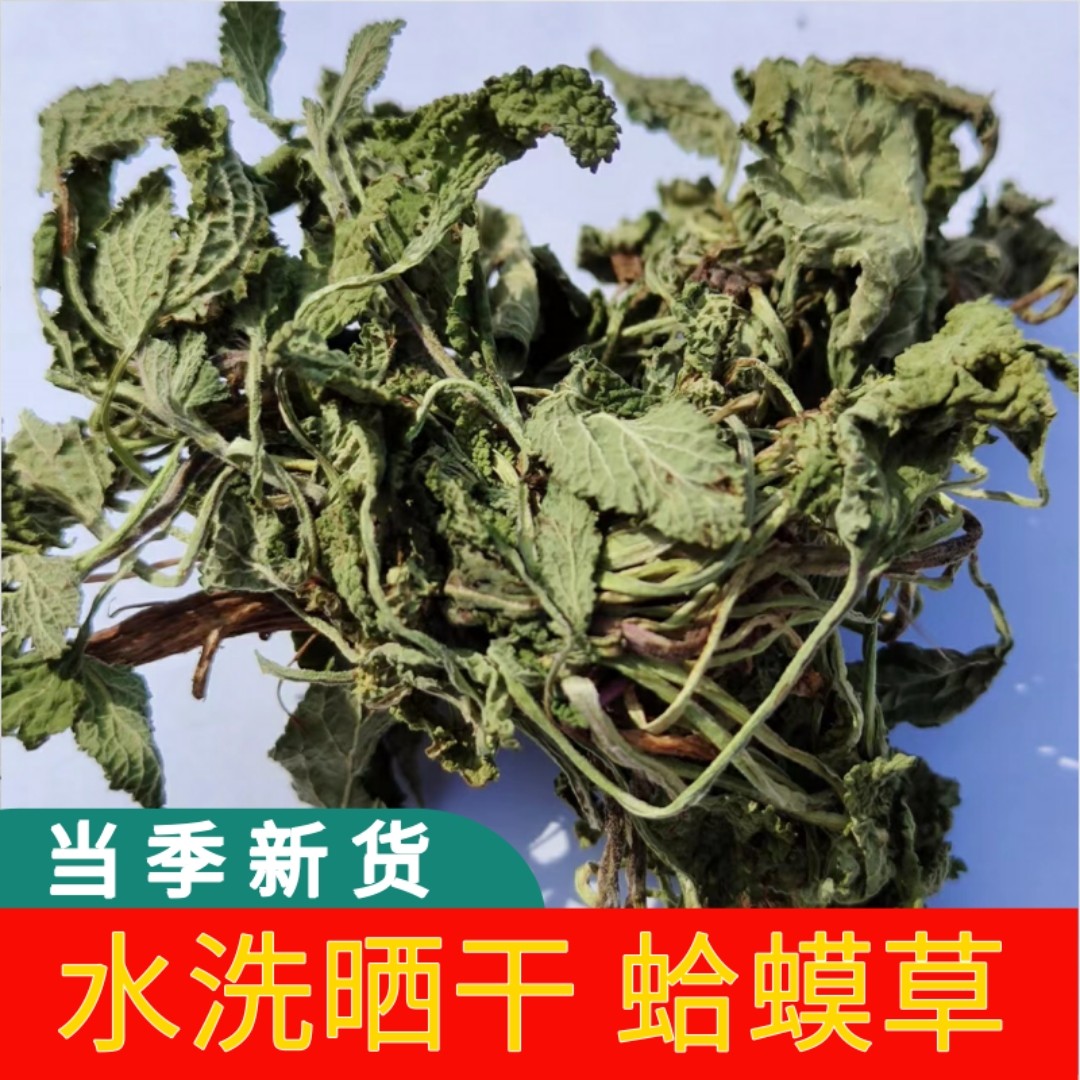 蛤蟆草 食用荔枝草 新鲜蛤蟆草 癞蛤蟆草水洗晒干 农产品包邮