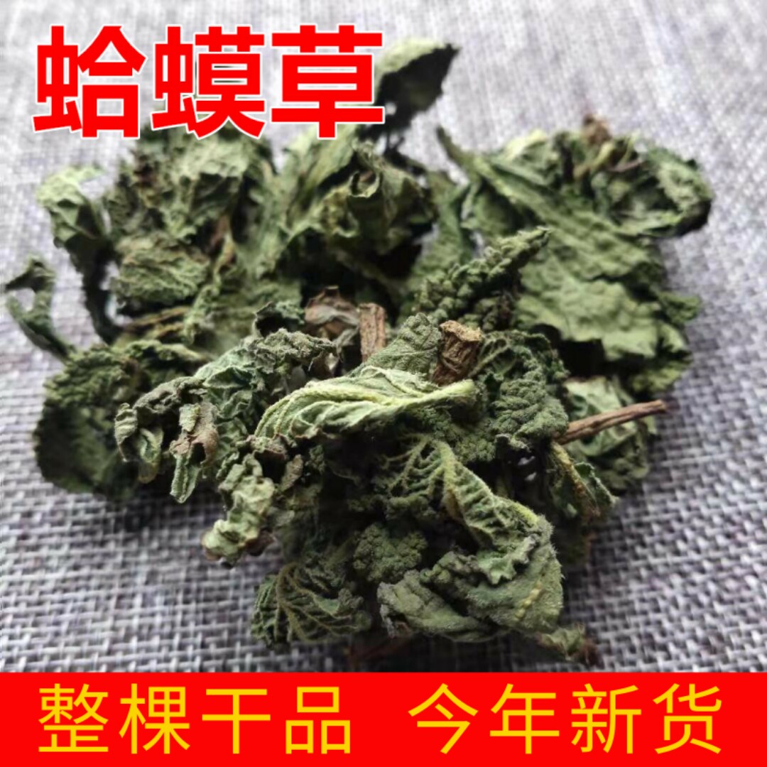 野生蛤蟆草 雪见草 癞蛤蟆草 青蛙草 荔枝草 新鲜晒干500g装包邮