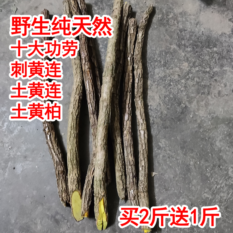 野生阔叶十大功劳中药材功劳木纯天然土黄连土黄柏干片刺黄连中药
