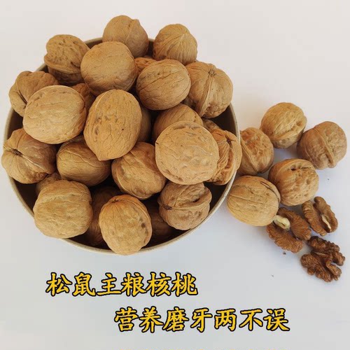 雪地金花魔王松鼠粮食吃的坚果食物未清洗带壳生核桃干的纸皮核桃