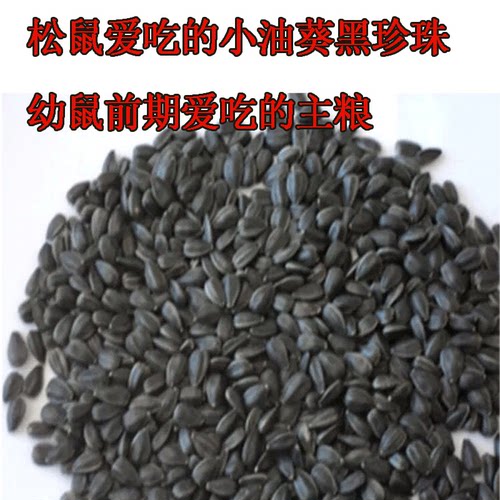 黑珍珠小瓜子小油葵魔王雪地松鼠粮食飞鼠幼鼠爱吃的食物饲料零食