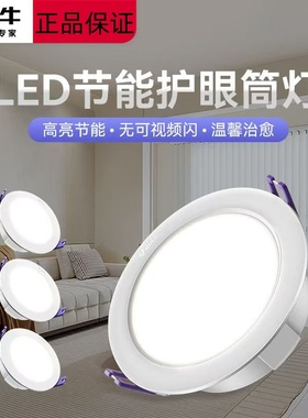 公牛筒灯led射灯客厅嵌入式洞灯具大全家用吊顶灯过道走廊灯新款