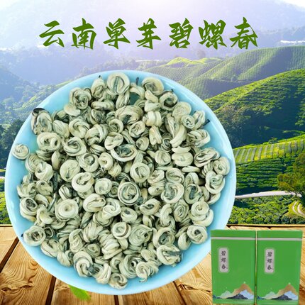 云南特级单芽碧螺春绿茶2026新茶白毫玉螺浓香型绿茶散装500g罐装