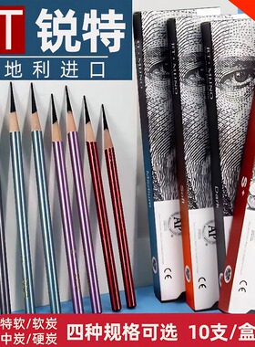 锐特炭笔MIJNO炭笔素描美术生专用初学者速写软中硬画笔专业速写