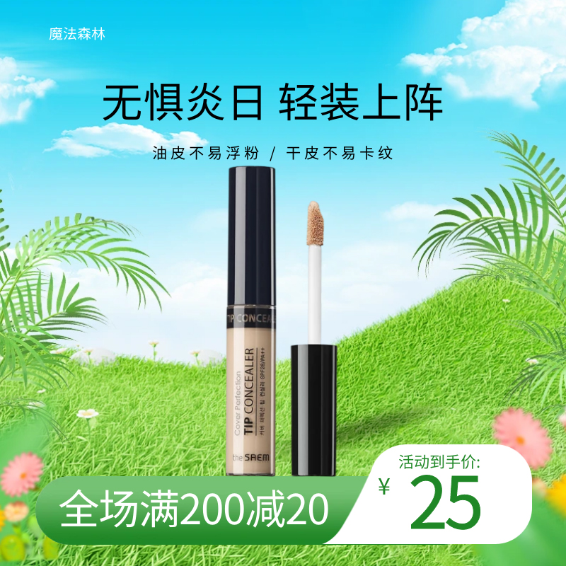 韩国The Saem得鲜遮瑕液脸部斑点痘印肤色遮盖毛孔持久王霏霏推荐