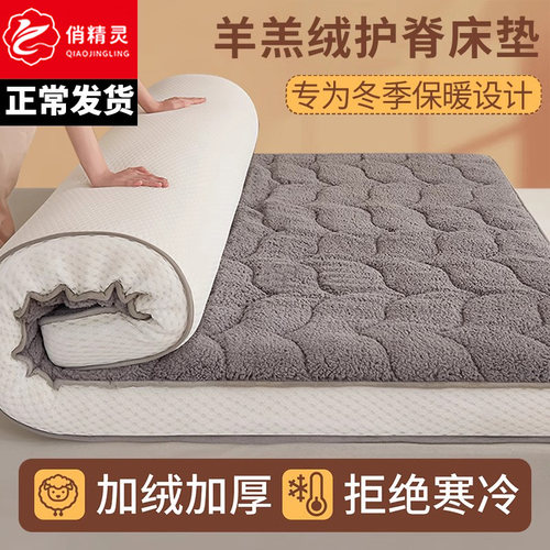 俏精灵冬季保暖家用床垫