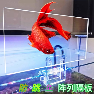 防止乌龟爬出鱼缸加高