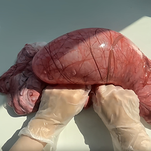 万圣限定微恐假水筋膜感抱抱奶送血色白胶史莱姆DIY解压玩具