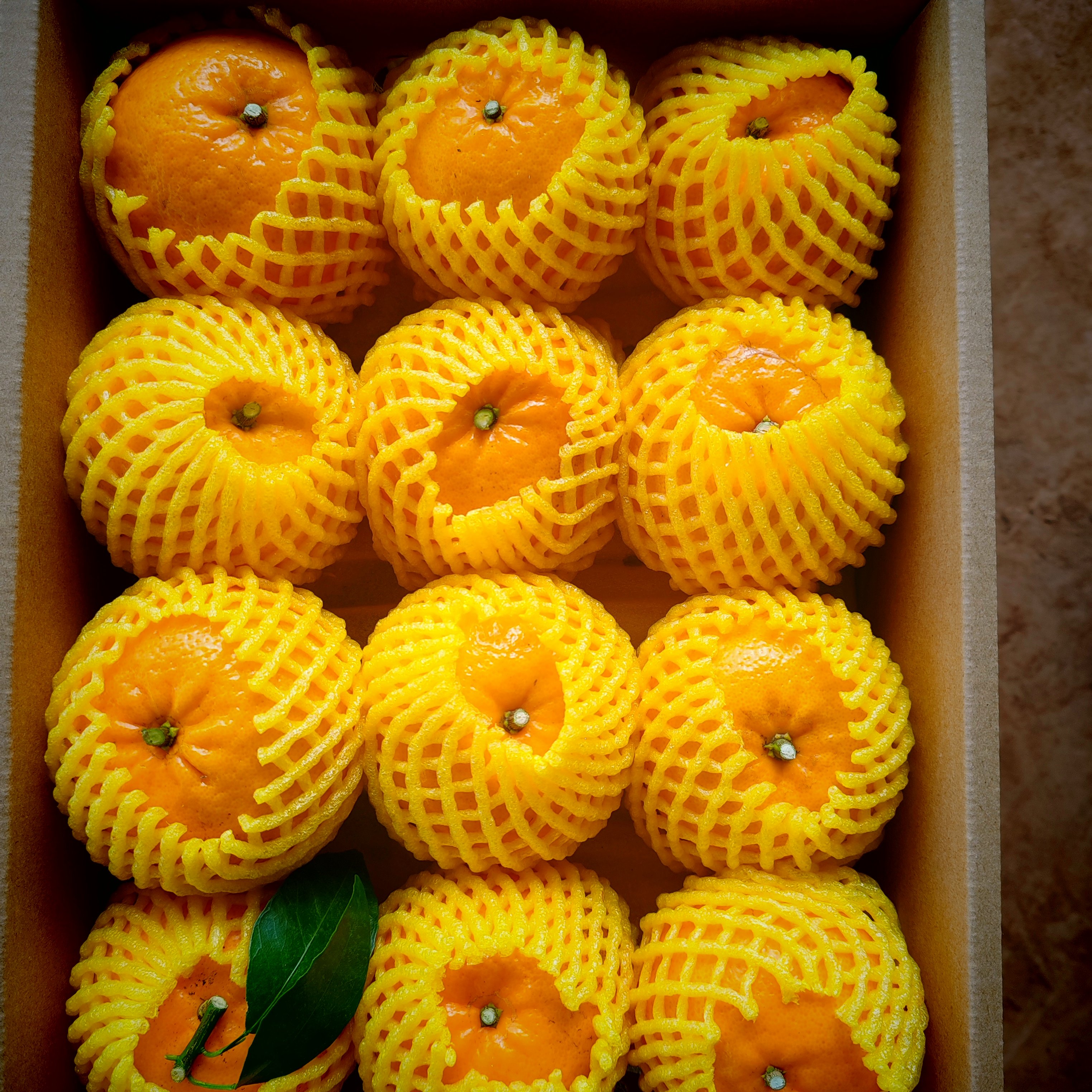 云南高山新鲜沃柑自然成熟水果桔橘橙子当季一箱批发包邮负责售后,水产肉类/新鲜蔬果/熟食,桔子,淘宝优惠券,粉丝福利购,淘宝优惠卷