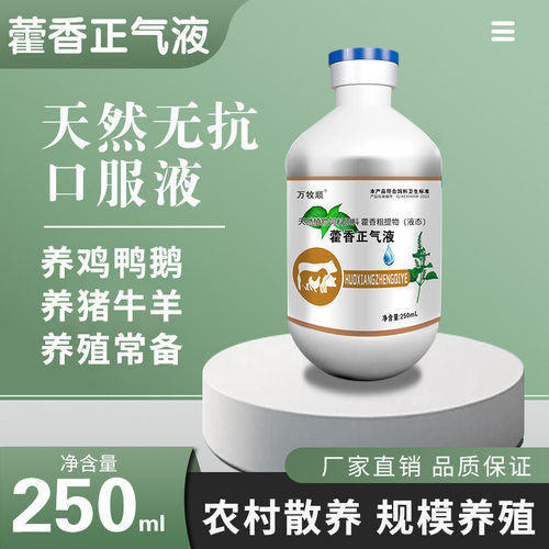 藿香正气液兽用解暑降温养殖场猪牛羊鸡鸭鸭抗应激养鸡场降暑增食