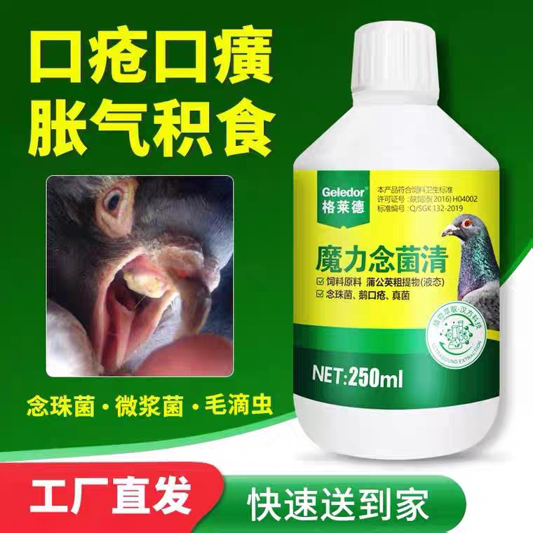 制霉菌素溶液片禽鹦鹉鸡用鸟鸽子