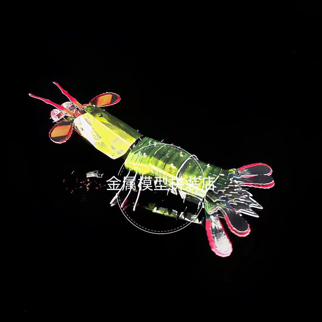 七彩皮皮虾我们走!螳螂虾全金属拼装模型3d立体拼图昆虫摆件!
