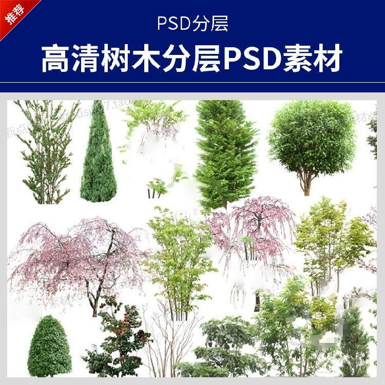 ps图片素材植物,ps图片素材创意,ps图片素材_大山谷图库