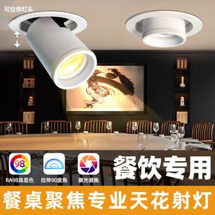 变焦餐饮店专用射灯2700k嵌入式伸缩射灯可调角度餐厅餐桌菜品灯