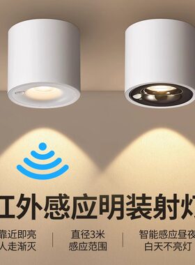 明装人体感应灯家用走廊过道灯入户玄关灯楼道筒灯红外线吸顶射灯