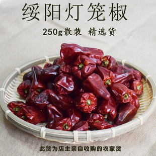 贵州特产绥阳辣椒农家灯笼椒干货遵义海椒麻辣香锅2025新货家庭装