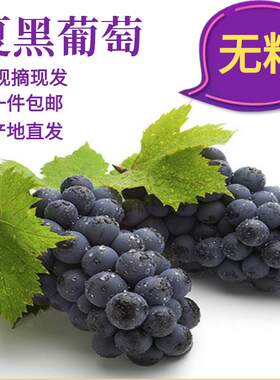 现摘6斤整串带箱非巨峰夏黑葡萄