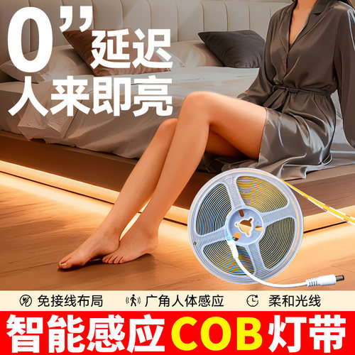 智能人体感应COB灯带电池