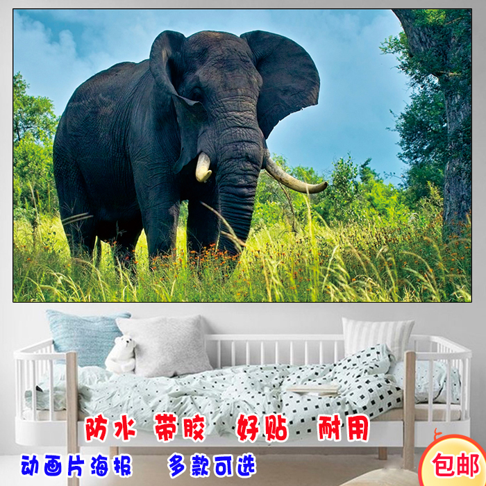 大象自粘装饰贴墙画大象海报象群非洲象群野生动物大自然风景贴画图片