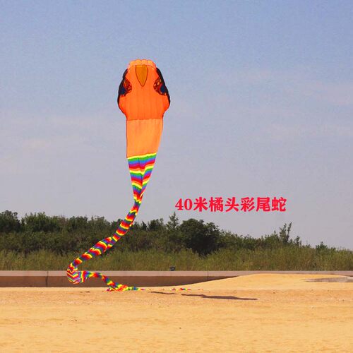 新款荔华无骨架颜色鲜艳好飞风筝