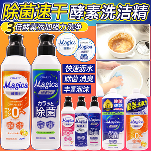 日本原装 LION狮王CHARMY纳米酵素除菌护手果蔬餐具洗涤剂洗洁精