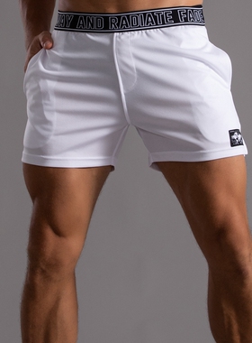 网眼速干运动短裤男夏季健身三分裤美式潮牌宽松跑步篮球训练裤子