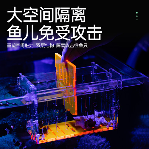荧光鱼缸隔离盒加厚亚克力小鱼繁殖盒珊瑚海葵小丑鱼孵化盒海缸